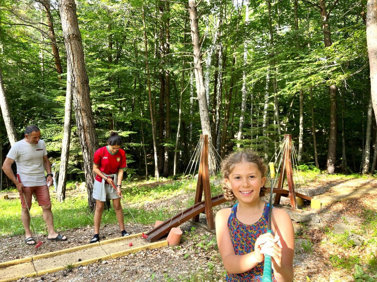 Village De Chalets Et Camping La Pierre De L'Aigle La Bréole Εξωτερικό φωτογραφία